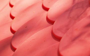 Whiterock plastic roof costs